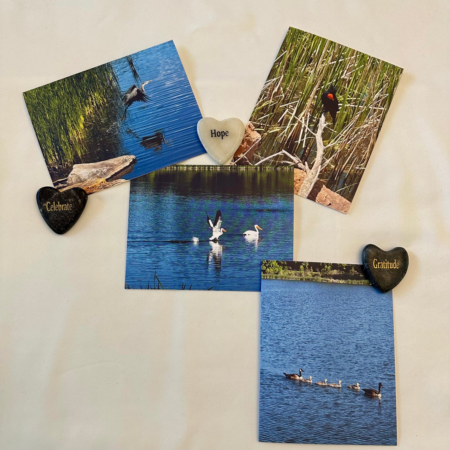 Fancy Flights Original Nature Photography Greeting Card Set of 4 with White Envelopes