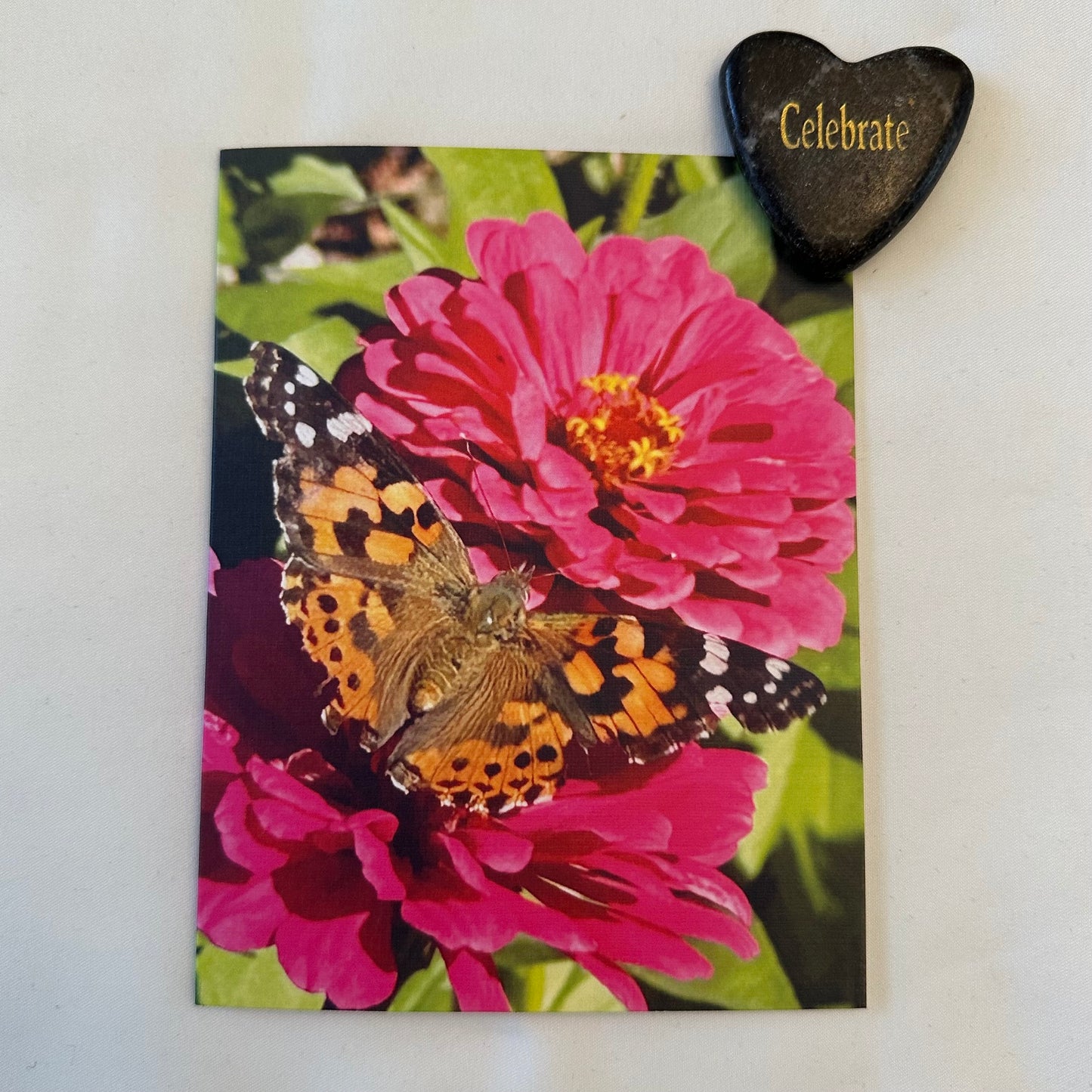 Wildflowers & Butterflies -Original Nature Photography Greeting Card Set of four with White Envelopes