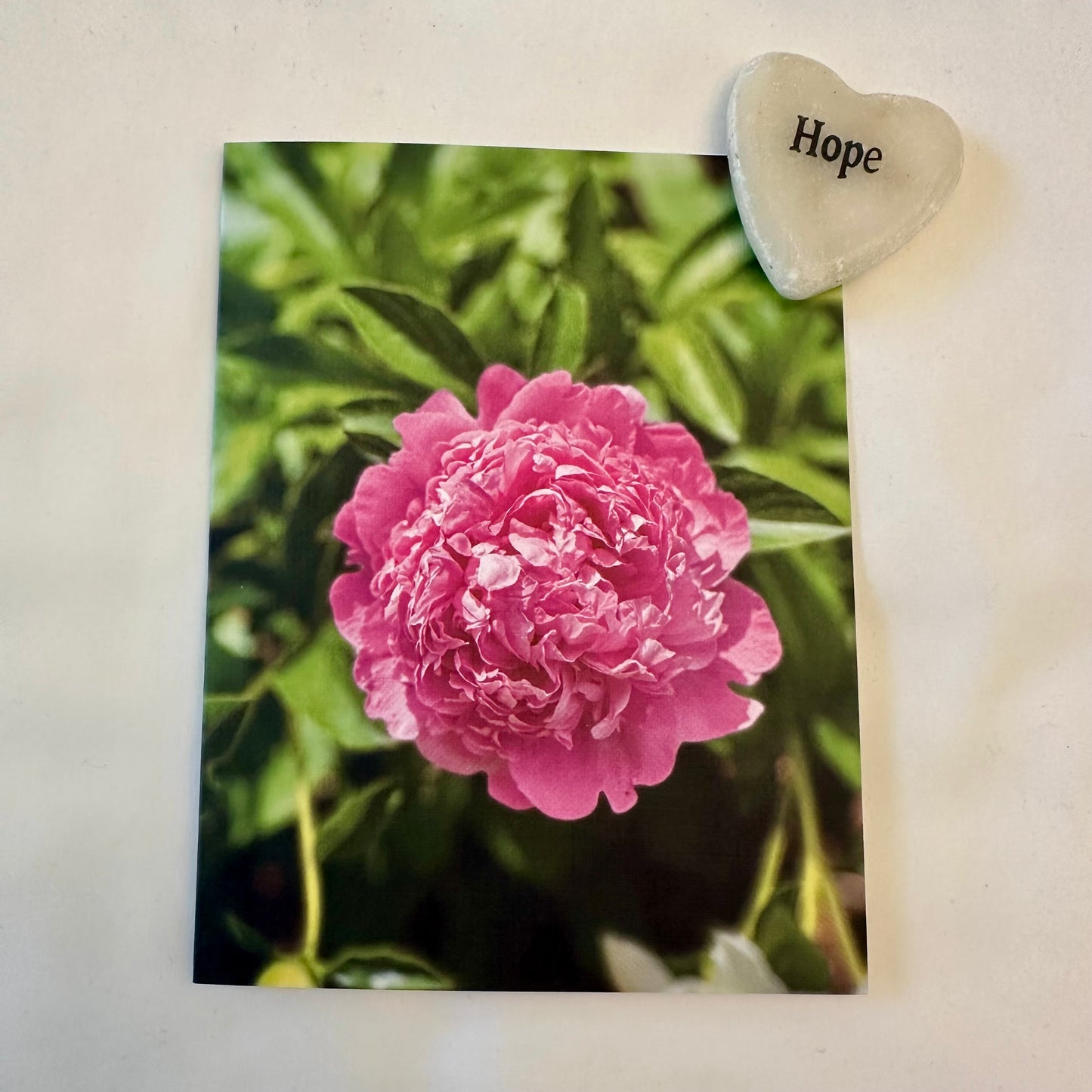 Precious Peonies Second Edition -Original Nature Photography Greeting Card Set of 4 with White Envelopes