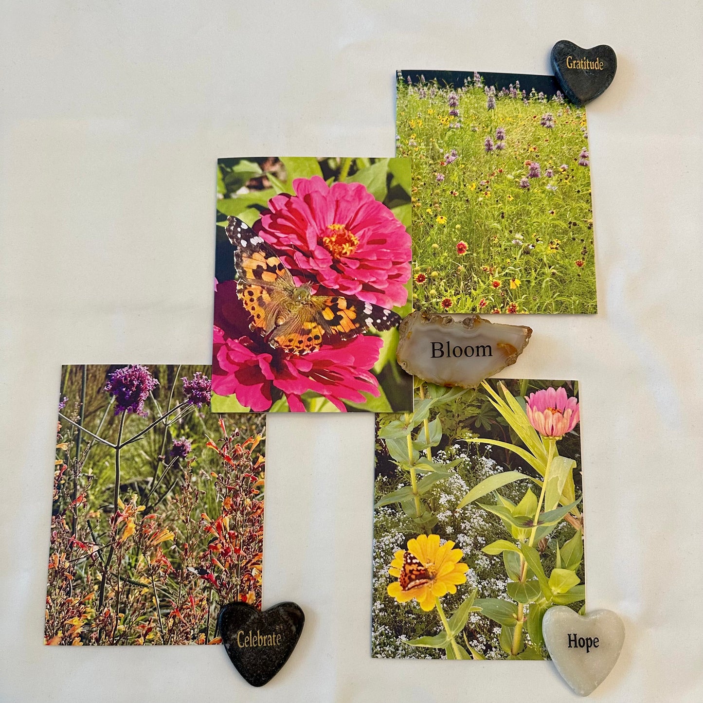 Wildflowers & Butterflies -Original Nature Photography Greeting Card Set of four with White Envelopes