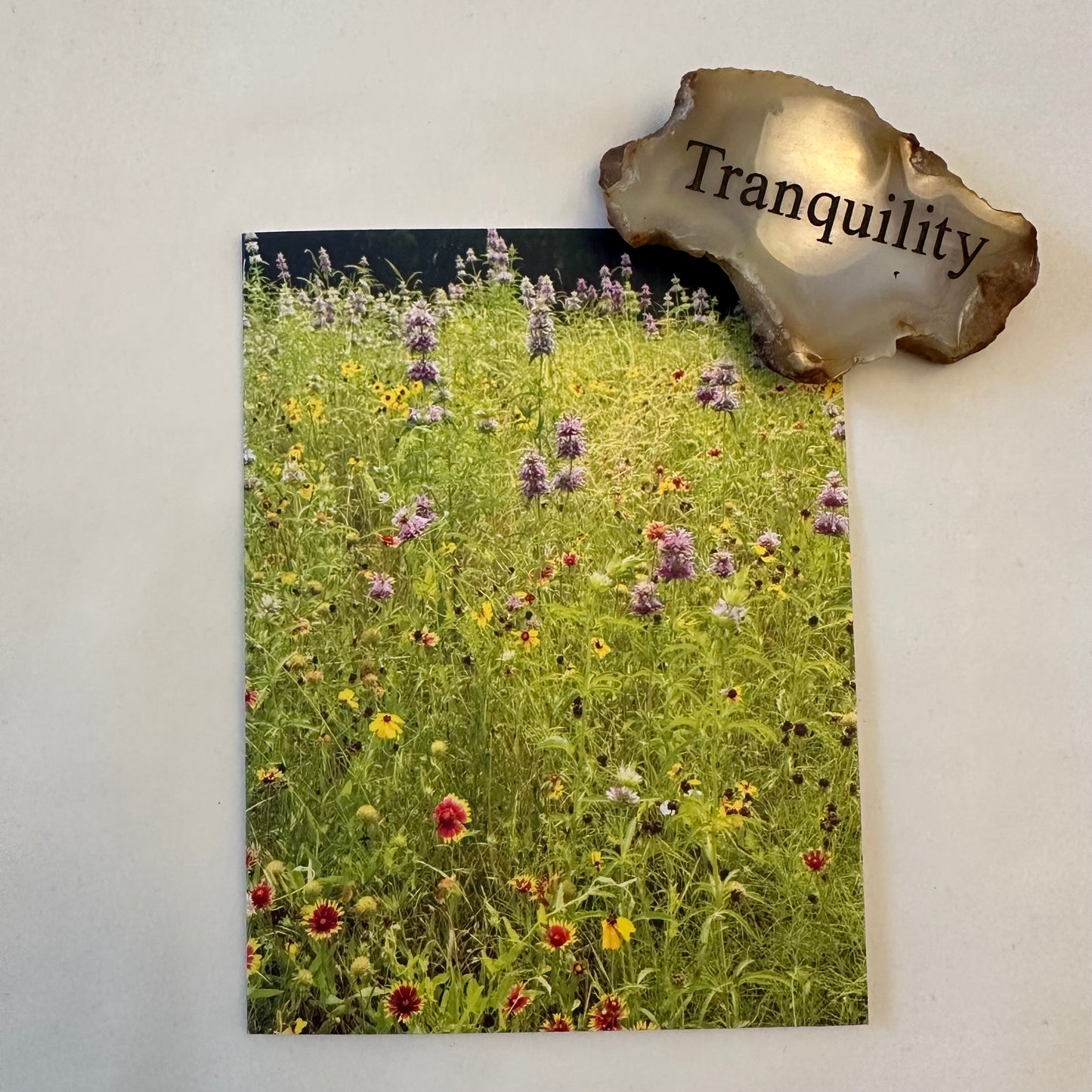 Wildflowers & Butterflies -Original Nature Photography Greeting Card Set of four with White Envelopes