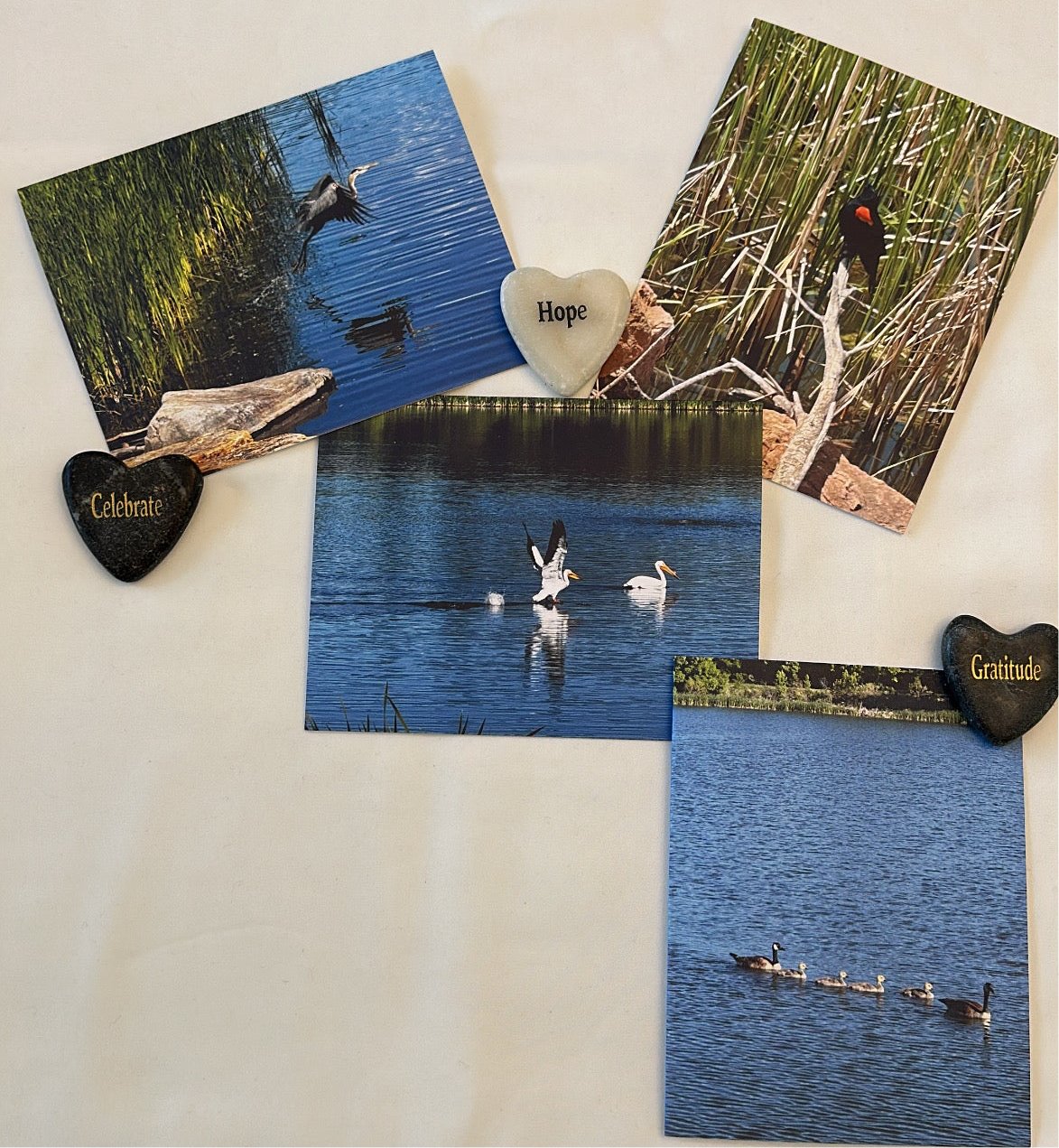 Fancy Flights Original Nature Photography Greeting Card Set of 4 with White Envelopes