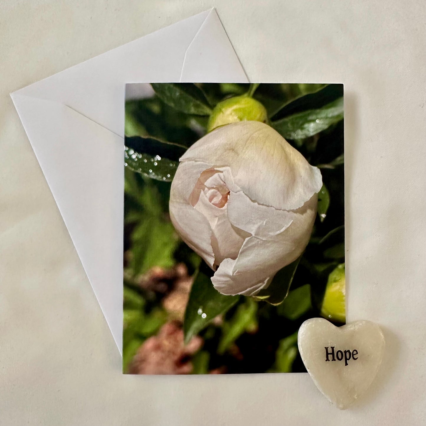 Precious Peonies Second Edition -Original Nature Photography Greeting Card Set of 4 with White Envelopes