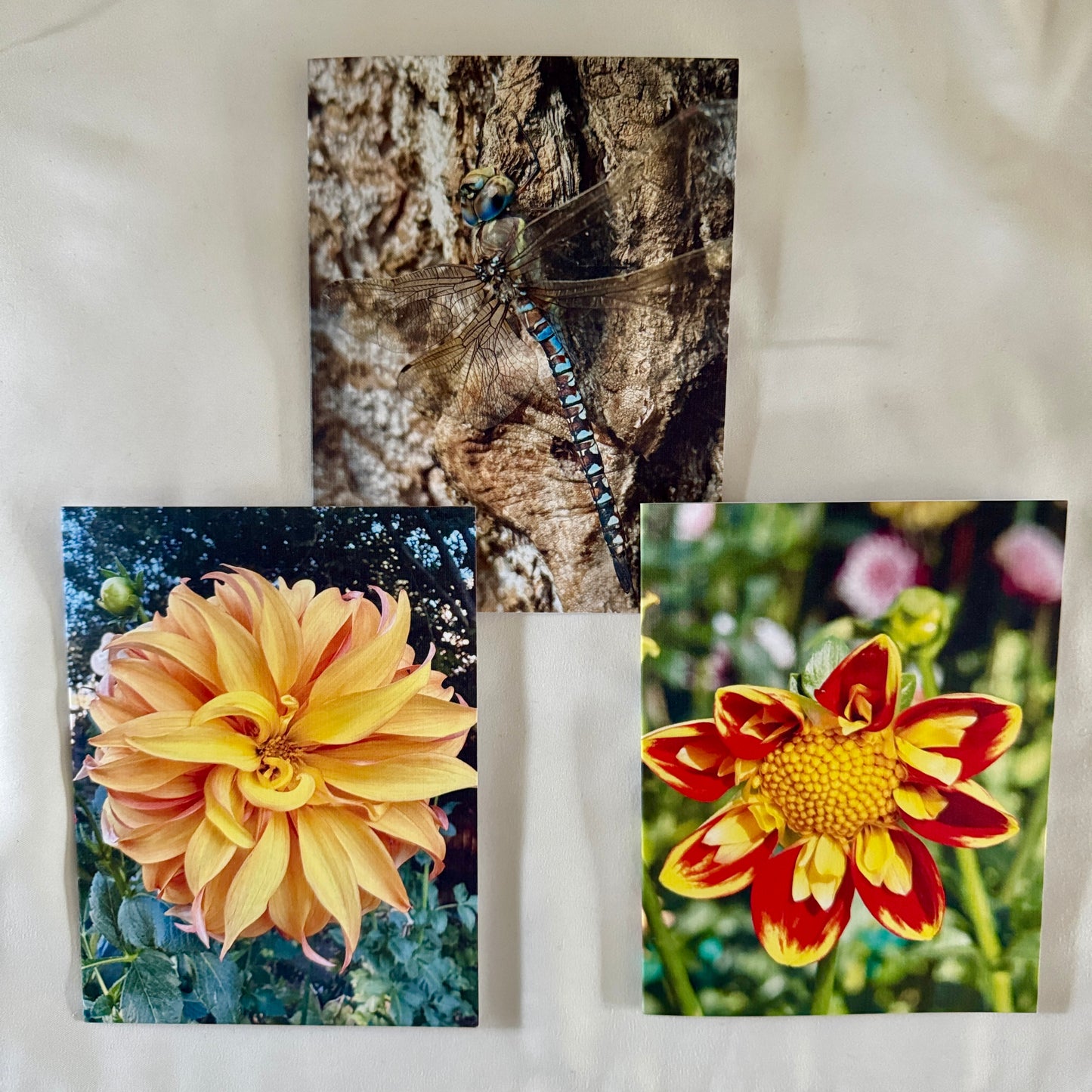 Fancy Flowers & Dragonfly-Original Nature Photography Greeting Cards Set of 3 with White Envelopes